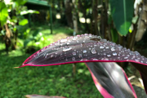 Casa Balae Blog lluvia 1